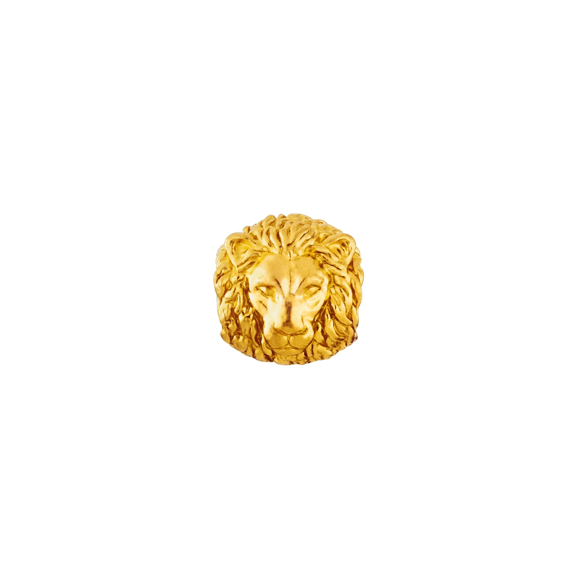 Lion Charm