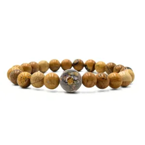 Montana Stones   Picture Jasper