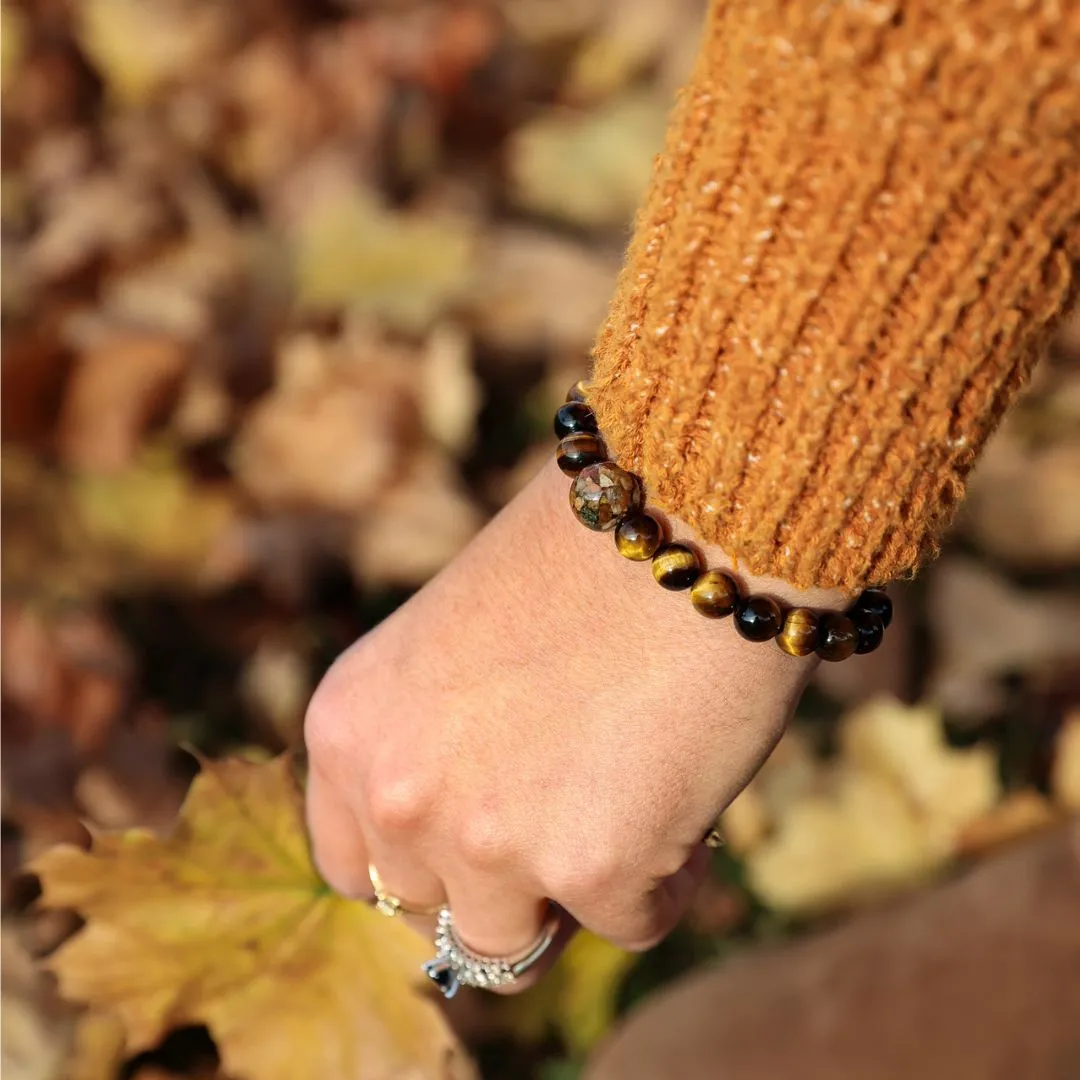 New Jersey Stones   Tiger's Eye