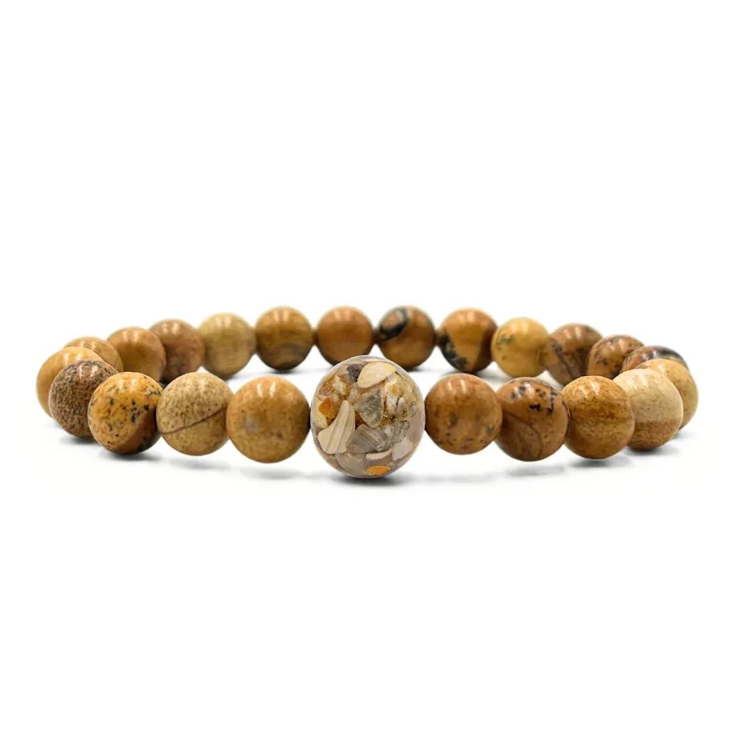 North Carolina Stones & Shells   Picture Jasper