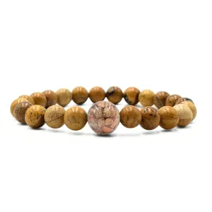 South Dakota Stones   Picture Jasper