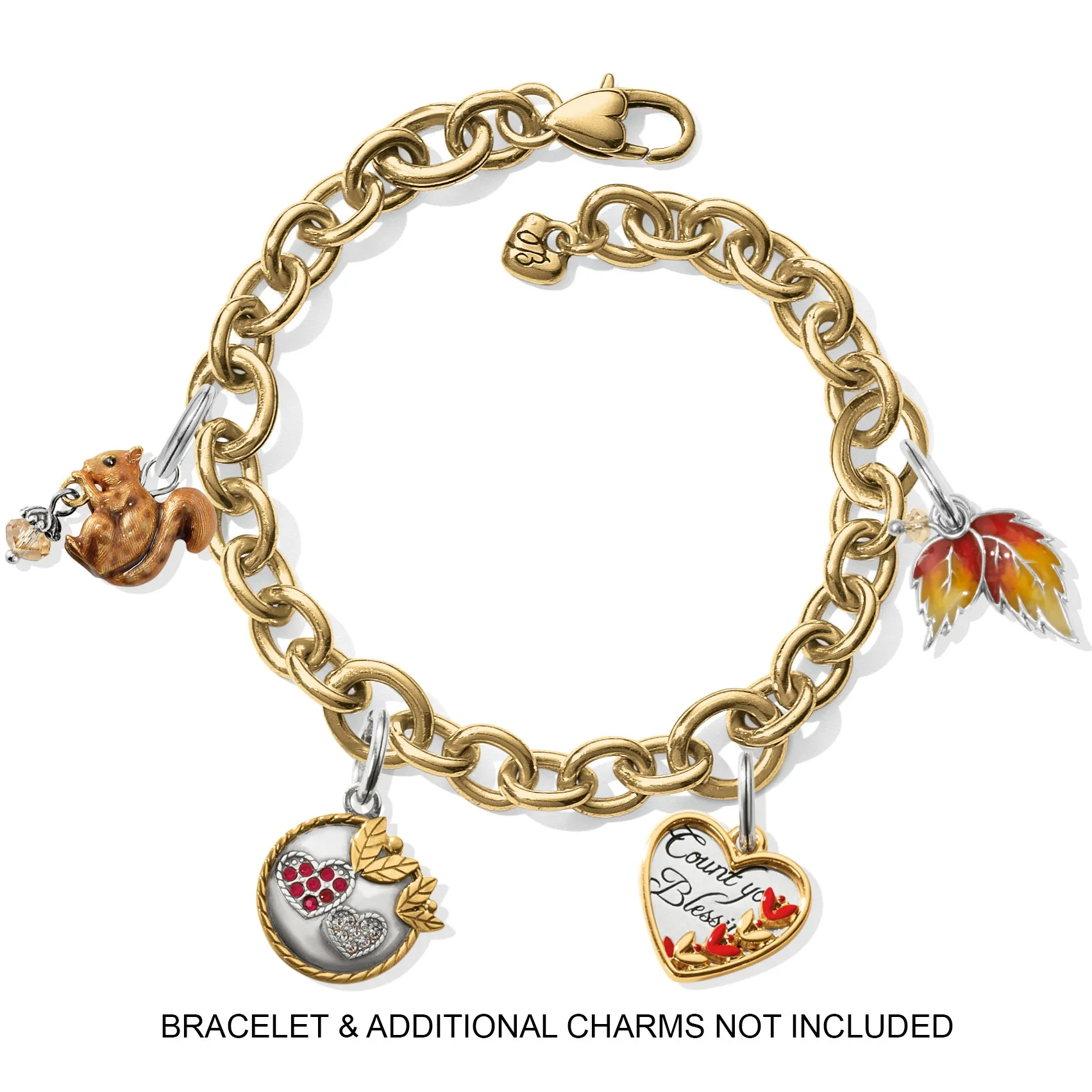 Squirrel Charm - JC1451